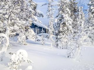 Holiday Home Vuonelo 8 a 2 by Interhome - 7