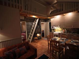 Holiday Home Tunturikoivu b1 by Interhome - 1