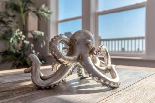 Island Time IV - 101 Pushmatah - 2