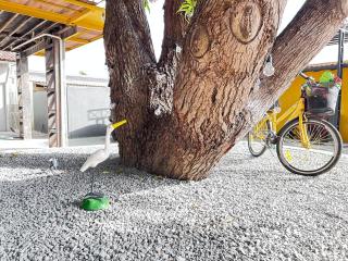 Estúdio Encantador em Boa Vista - 9