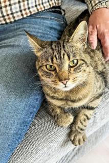 Holiday Home Fjällbacka by Interhome - 9