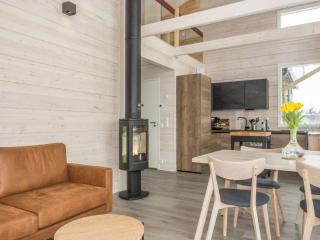 Holiday Home Saana aurora by Interhome - 1