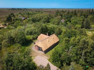 Holiday Home Ejvi - 4km from the sea by Interhome - 9