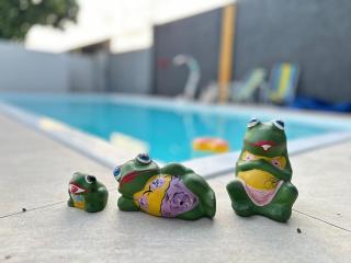 Estúdio encantador em Boa Vista - 9