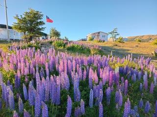 Cabañas La Frontera. - 8