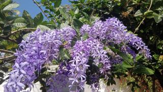 Green & Gray Inn - 8