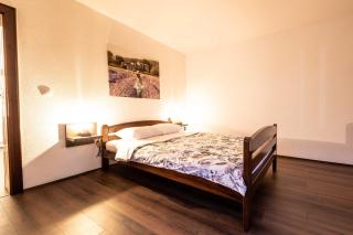 Lavender farm Zarić - 9