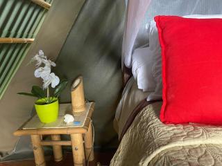 Glamping El Árbol en la Casa - 5