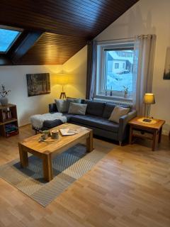 Harz-Urlaub-Altenau - Hunde willkommen - 9