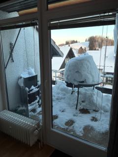 Harz-Urlaub-Altenau - Hunde willkommen - 4