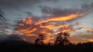 Iki Room with Jacuzzy - 7