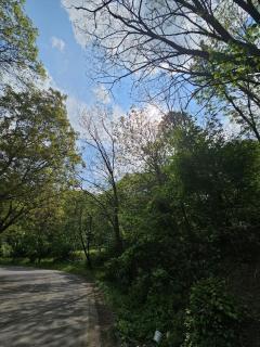 La Reggia di Gusberti - 9