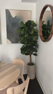 Modern Group Condo - 3