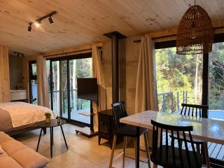 Cabaña 2-3 personas Valdivia - 4