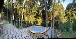 Cabaña 2-3 personas Valdivia - 3