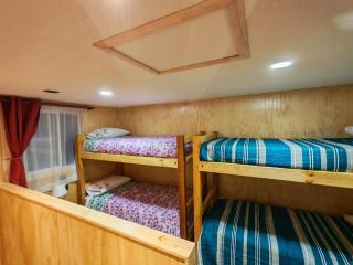 Cabañas Hornopiren - 2