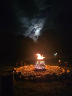 Westie on the West - Our private family getaway - 7