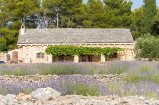 Holiday house with a parking space Humac, Hvar - 8805 - 8