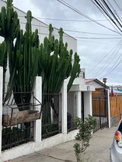 MINI Dpto muy bien ubicado - 3