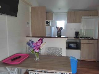 Mobil home 32m² avec terrasse pour 4 personnes à Anduze - API-1-52-404 - 9