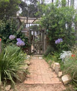 DomosdeMar a 100 mts del mar - 5