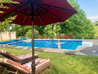 Shenandoah FARM POOL GAME BARN OUTDOOR FIRE PIT - 8