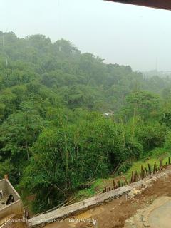 Rumah kayu cikareo antonio Monroe - 3