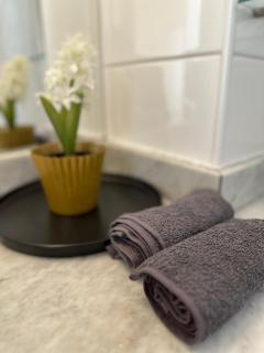 Dos Departamentos Equipados en Centro de Santiago Cerca Movistar Arena - 7