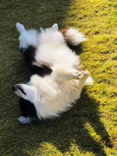 Super Invincible All Seaview Villa - Dali - 5