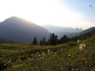 No 8, Wilder Kaiser - 5