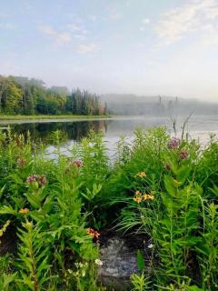 Cajun Cabin Private Nature Resort - 5