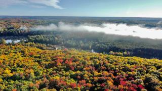 Cajun Cabin Private Nature Resort - 4