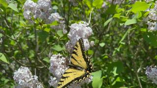 Cajun Cabin Private Nature Resort - 3