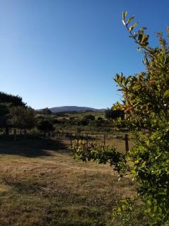 Entre Las Sierras y El Mar - 6