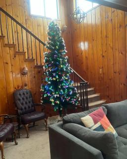 Cozy Waterfront Cottage - 1