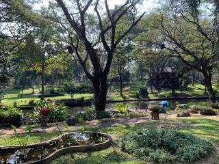 Green Bird Cabin at Doi Inthanon National Park - 6