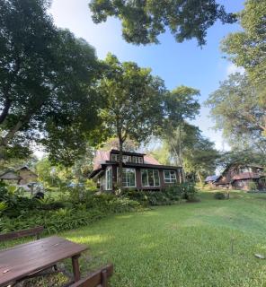 Green Bird Cabin at Doi Inthanon National Park - 8