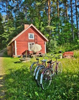 Authentic Finnish Sauna Cottage - 0