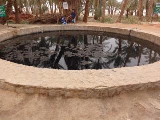 Siwa Oasis Camp & Lodge Desert Experience Tours - 2