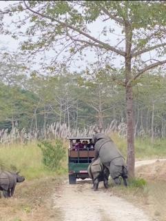 Hotel Garden of Dreams - 3