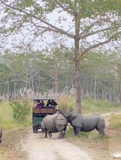 Hotel Garden of Dreams - 4