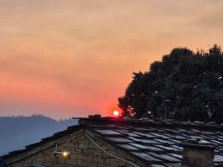 Panchavati Hills Homestay - 8