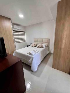 Modern apartment in Equipetrol - 1