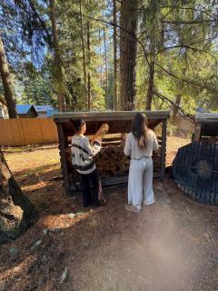 Cabin and Casita Near Rosyln and Suncadia Hot Tub, Game Room, Firepit, Sleeps 11 - 1