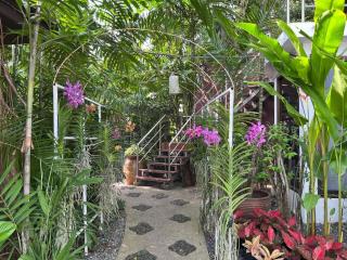 Rainbow Arokaya Welness Resort - 8