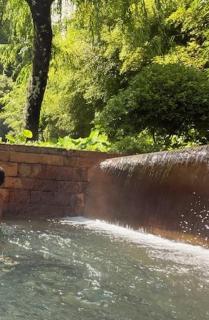 Casa das Raizes-Home of Family Roots - 9