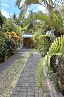 Mermaid Cove - SEASHELL - 2