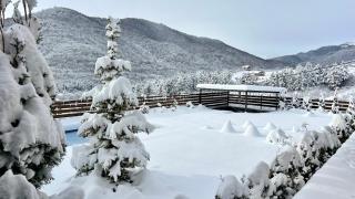 Dili Dream Villa - 7