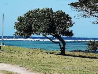 La Terrace Brocus - 3