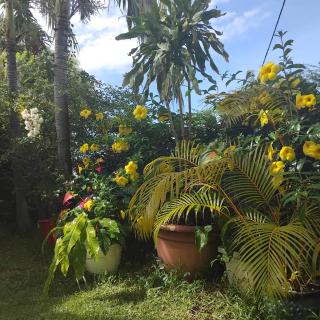 Chez Fannie et Alain - 8